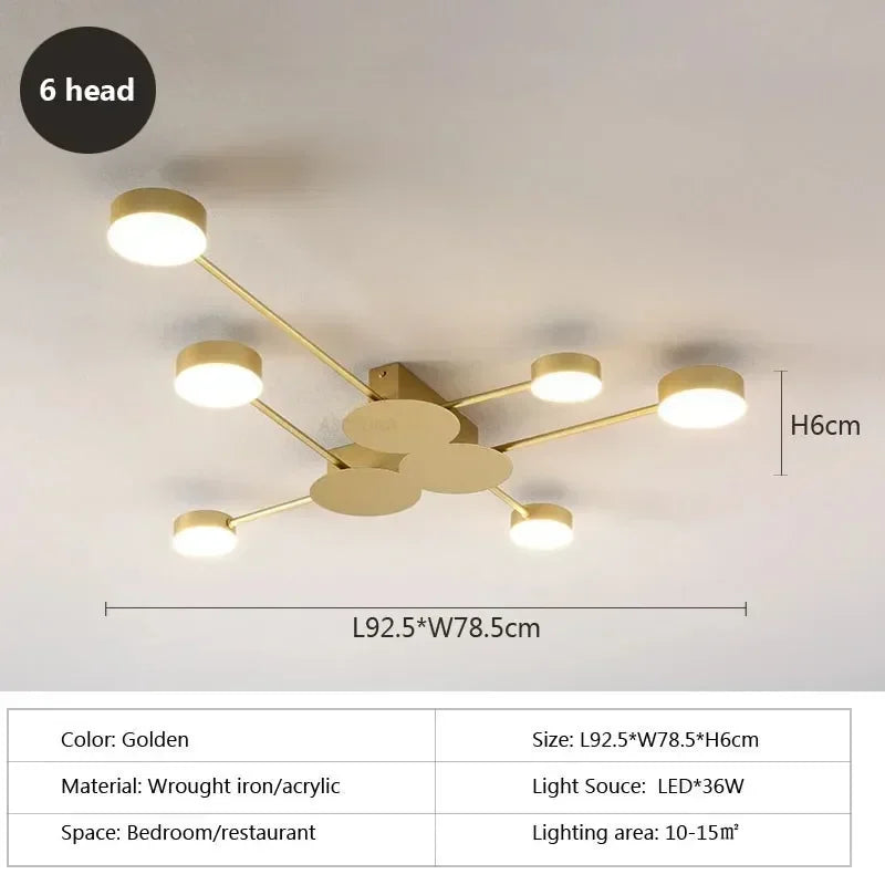 Modern Simplicity Sputtering luminescent Multi Head LED Home Ceiling Lights Painting Lamps for Living Room Decoration Chandelier